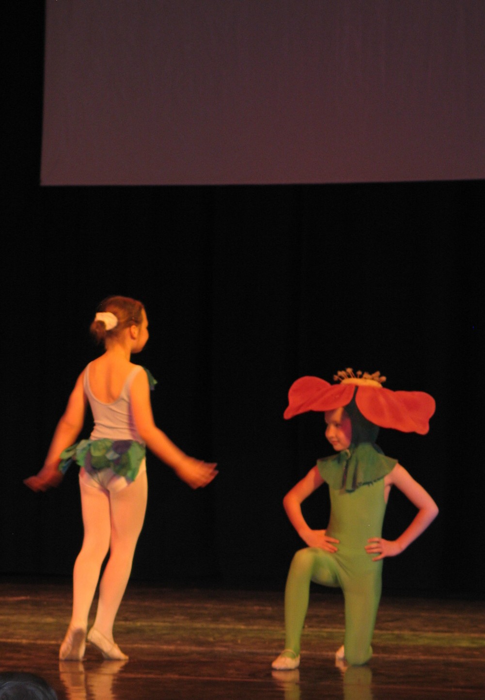 Schuljahresgala 2009: Sommergre